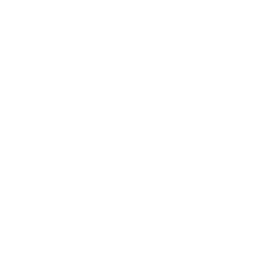 Video showing company culture and team values