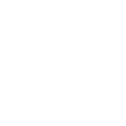 Live shows & event coverage